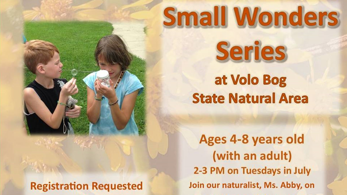Small Wonders Series at Volo Bog State Natural Area